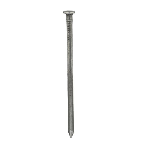 Common Nail, 3-1/2 in L, 16D, Steel, Bright Finish, 8 ga, 1320 PK