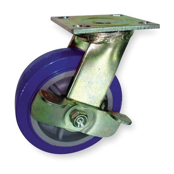 Manufacturer Varies Swivel Plate Caster,Poly,8 in.,900 lb.,Blu 1NUX8