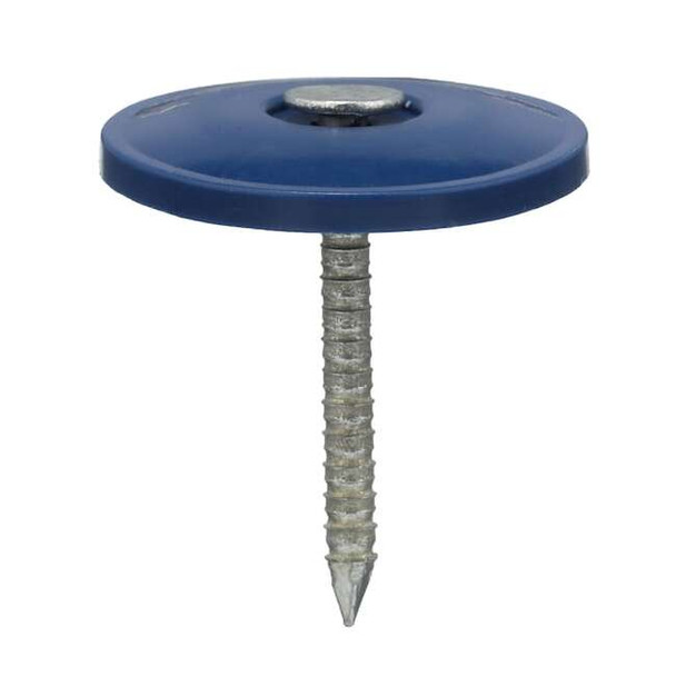 Manufacturer Varies Cap Nail,1 In L,PK2000 4NFC6