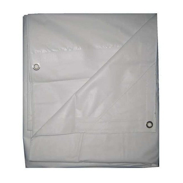 Standard Duty Tarp, 19 ft x 19 ft 6 in, 5.1 Mil, White, Polyethylene