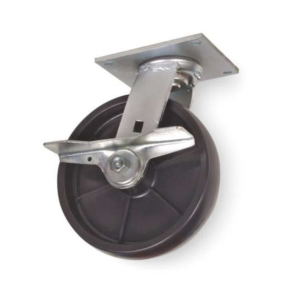 Manufacturer Varies Swivel Plate Caster,Poly,8 in.,1000 lb. 1NVP5