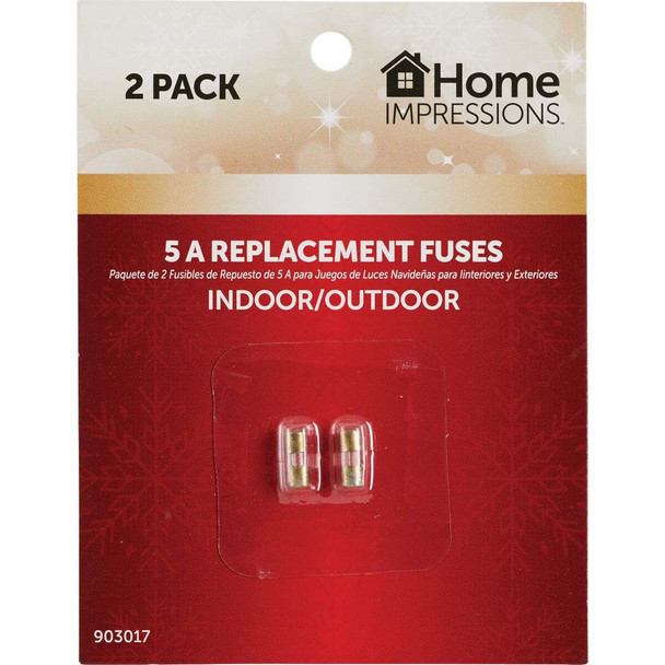 Home Impressions 5A Glass Christmas Light Set Fuses (2-Pack) KT-2024-S08