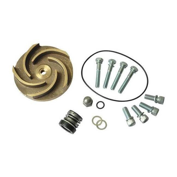 Dayton Pump Repair Kit,For 2ZWT2A,2ZWT3A 21TG56