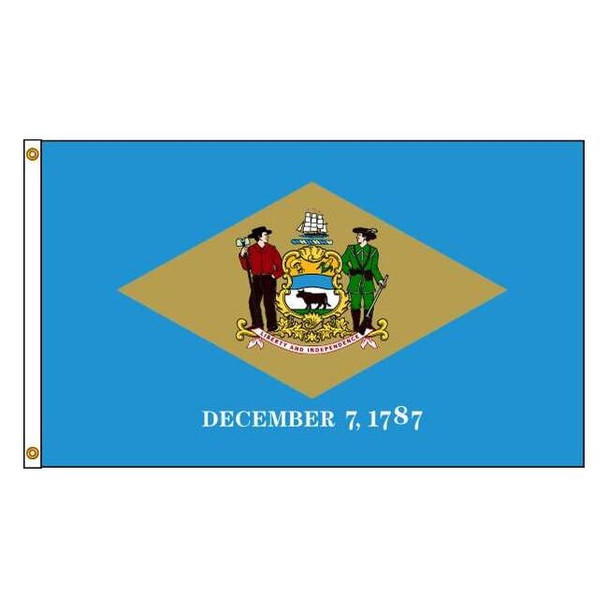 Annin Flagmakers Delaware Flag,5x8 Ft,Nylon 140880