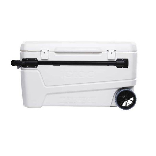 Igloo Chest Cooler,110 qt.,White 50170