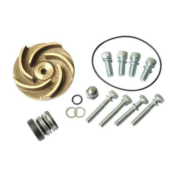 Dayton Pump Repair Kit,For 2ZWR4A 21TG49