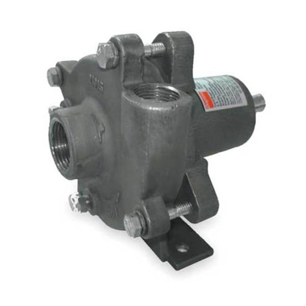 Dayton Pedestal Pump,Stainless Stel,HP Req. 1/3 2ZWY8