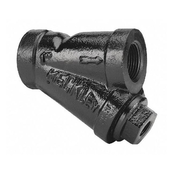 Keckley Y Strainer, 1" Pipe, Threaded, Cast iron 13THY-CIM20M34-FTI-B7