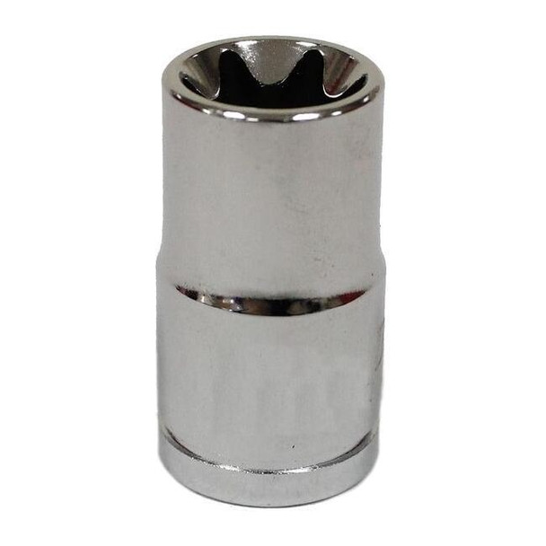 Westward Socket 3/8 in Dr, 1 1/4 in L, Chrome 20HX28