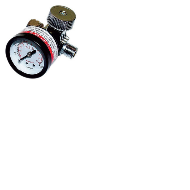 Air Regulator w/ Gauge 882
