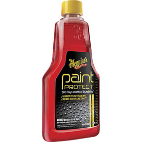 Paint Protect, 16 oz. G36516
