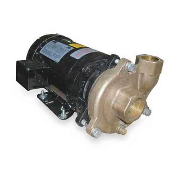 Dayton Bronze/Brass 3 HP Centrifugal Pump 208-230/460V 2ZWT7