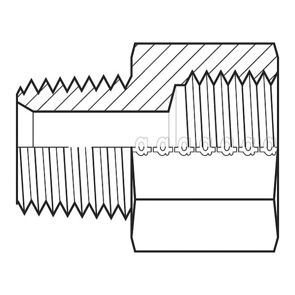 Adaptall Hose Adapter,1/8",NPT,1/8",BSPP 9037-0202