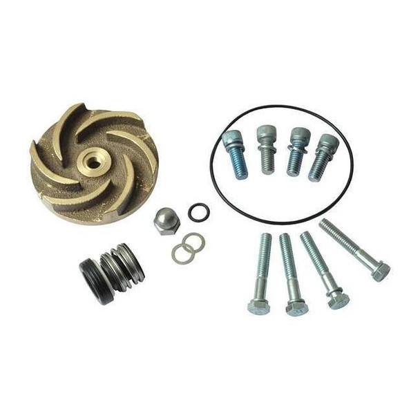 Dayton Pump Repair Kit,For 2ZWR7A,2ZWR8A 21TG52