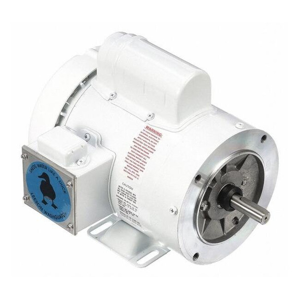 Leeson Washdown Motor,Face/Base,11-5/8 in. L 112528.00
