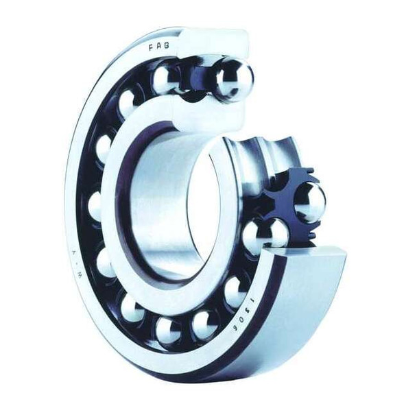 Fag Bearings Radial Bearing,Double Row,30mm Bore 2206-2RS-TVH