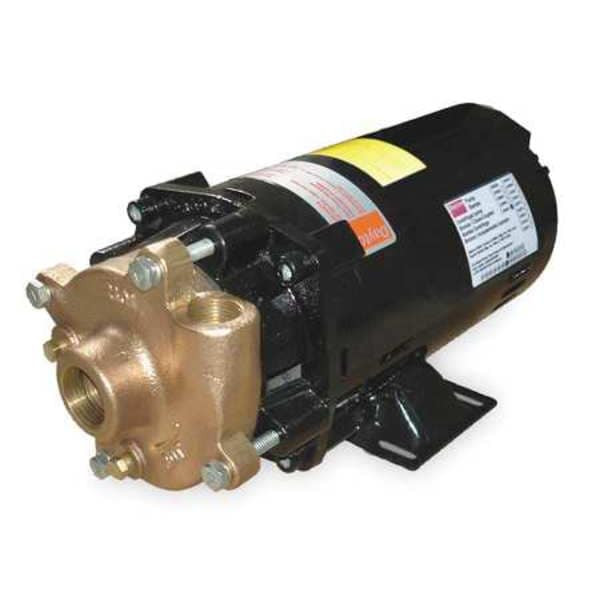 Dayton Bronze/Brass 1-1/2 HP Centrifugal Pump 208-230/460V 2ZWT3