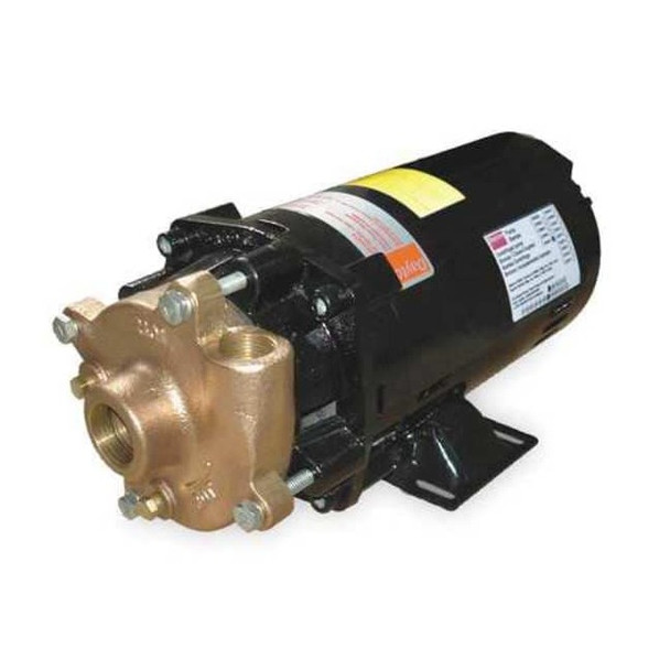 Dayton Bronze/Brass 1-1/2 HP Centrifugal Pump 208-230/460V 2ZWT3