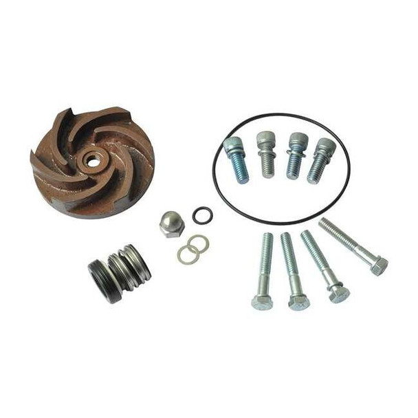 Dayton Pump Repair Kit,For 2ZWP3A,2ZWP4A 21TG39
