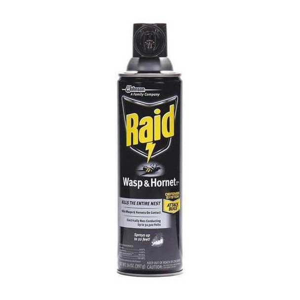 Raid Wasp/Hornet Killer,14 oz, Spray Can 377651