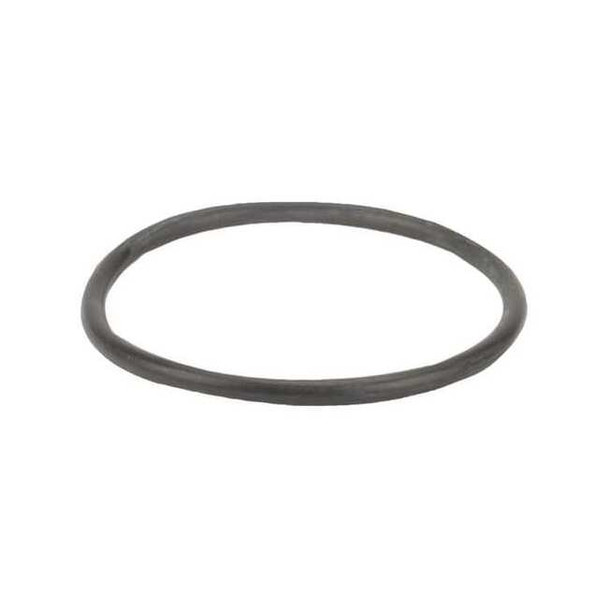 Banjo Gasket,Y Strainer,1 1/2-2 In LS150-G