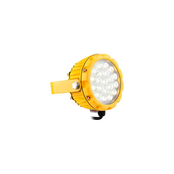Global Industrial LED Dock Light Head 20W 1800 Lumens On/Off Switch 9' Cord w/ P
