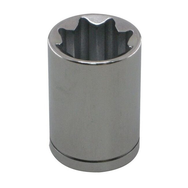 WESTWARD 1/2 in Drive, 13/16" 8 pt SAE Socket, 8 Points, Flex Steel,Chrome,13/16