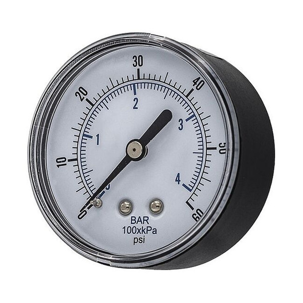 Pic Gauges SEP-102D-254D-BSPT
