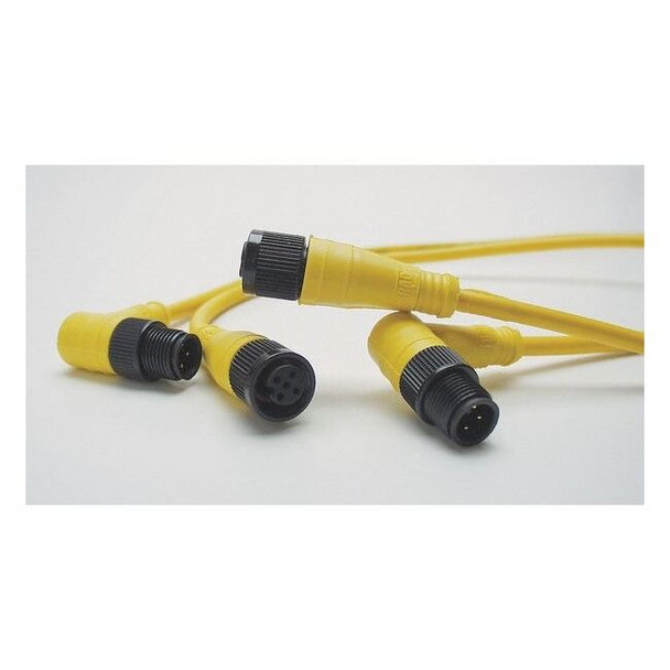 Brad Harrison Cordset,4 Pin,Plug,Male 804006A09M100