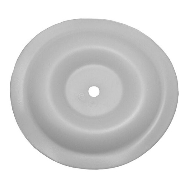 Dayton Diaphragm, PTFE, For 0.375 in, Dayton 770933