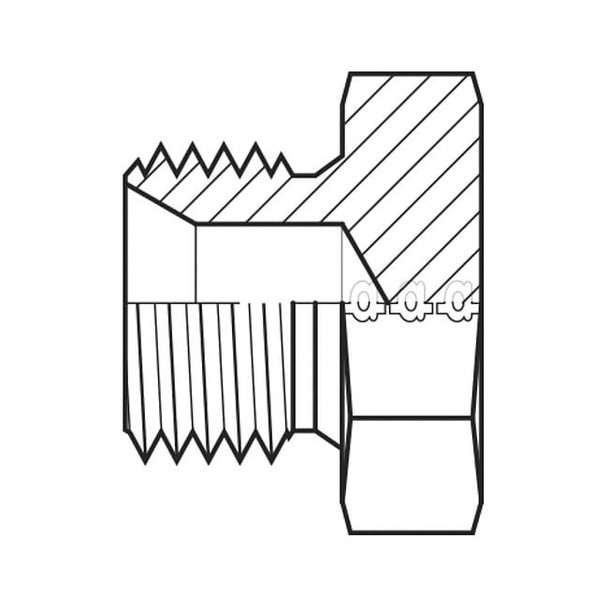 Adaptall Hose Adapter,1",BSPP 9030-16