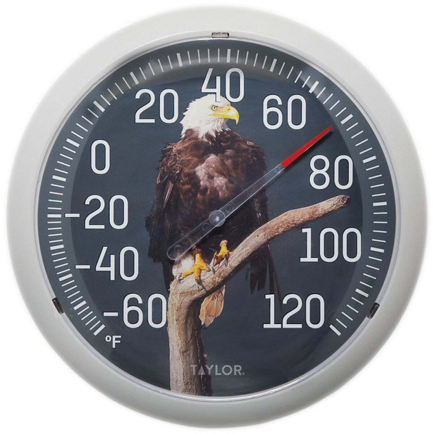 Taylor 13.25 In. Eagle Nature Round Dial Thermometer 5307093