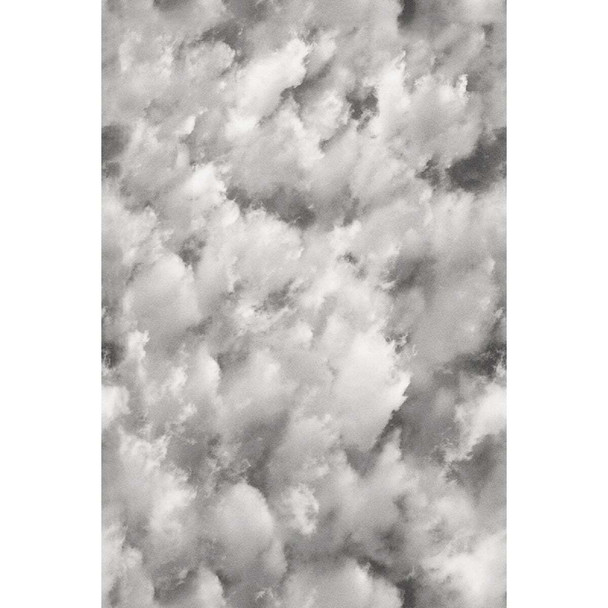 Artscape 24 In. x 36 Clouds Window Film 02-3749