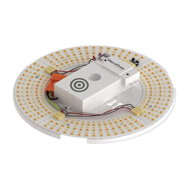 Remphos LEDCircularDrum,1ftL,1ftW,120/277VAC RPT-P-LEDCR-G2-9IN-14L-840-FWFC
