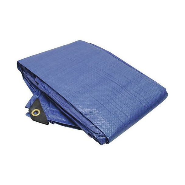 Roadpro 10 ft x 12 ft Tarp, Blue RPTP-1012