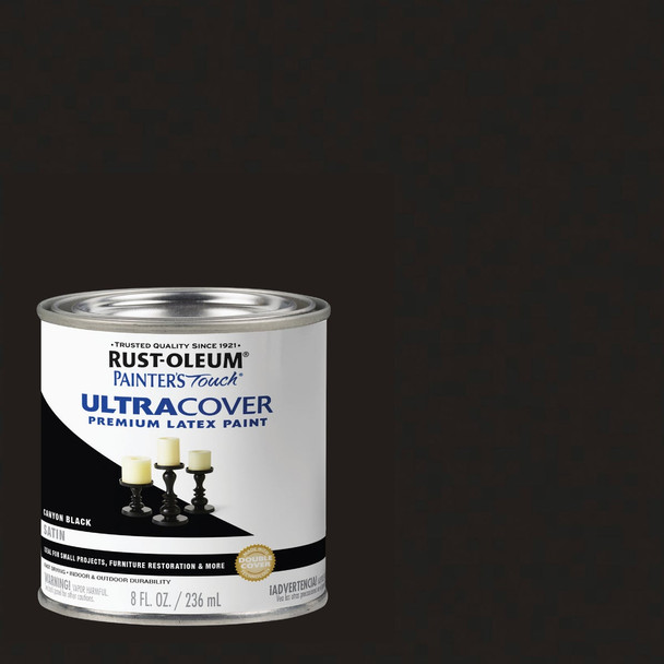 Painter's Touch Stn Cany Blk Paint 267249