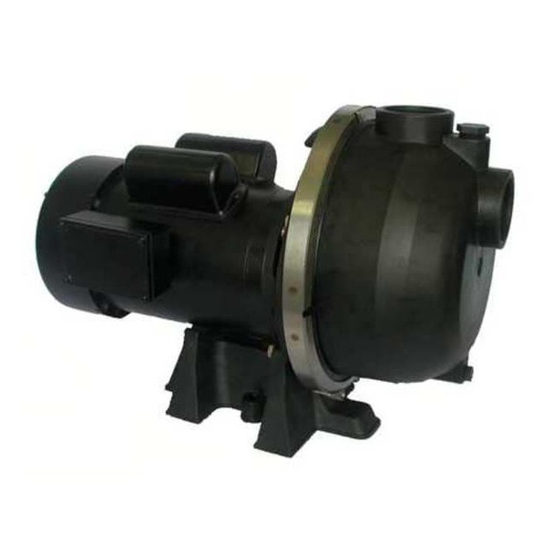 Dayton Sprinkler Pump, 2 hp, 120/208 to 240V AC, 1 Phase 5UPW1