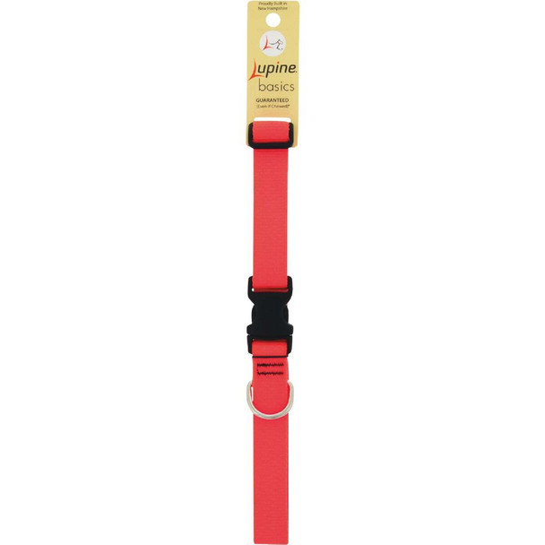 Lupine 1 In. Traditional Solid Blaze Orange 16 to 28 In.  Adjustable Collar