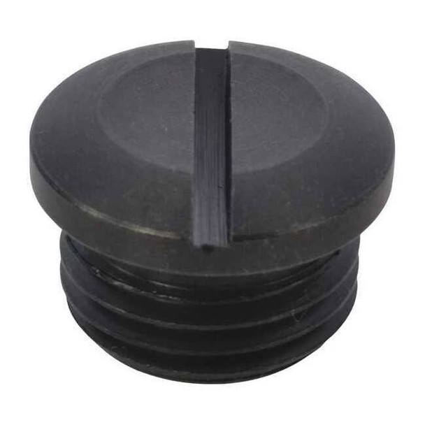 Speedaire Valve Cap TTR4420406G