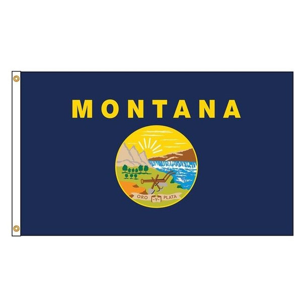 Annin Flagmakers Montana Flag,4x6 Ft,Nylon 143170