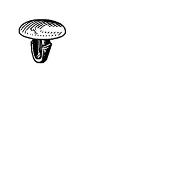 Retaining Clip Toyota, Package Of 25 2961