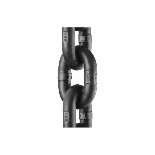 Peerless Chain Straight Chain,Alloy Steel,5'L,12,000 lb 5050605