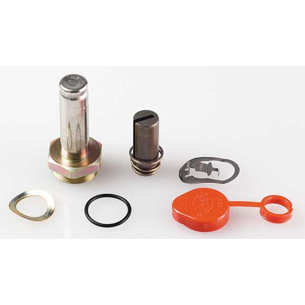 Asco Valve Rebuild Kit 302022-V