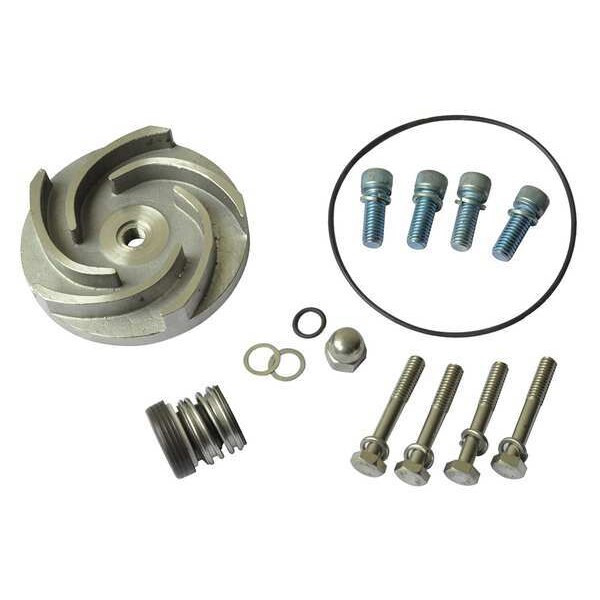 Dayton Pump Repair Kit,For 2ZWU6,2ZWU7 21TG69