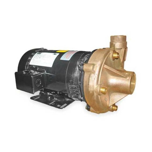 Dayton Bronze 2 HP Centrifugal Pump 208-230/460V 2ZXA6