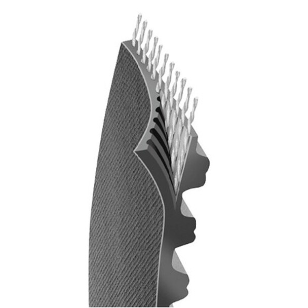 Continental Gearbelt,Falcon HTC,250 Teeth,36mm 8GTR-2000-36