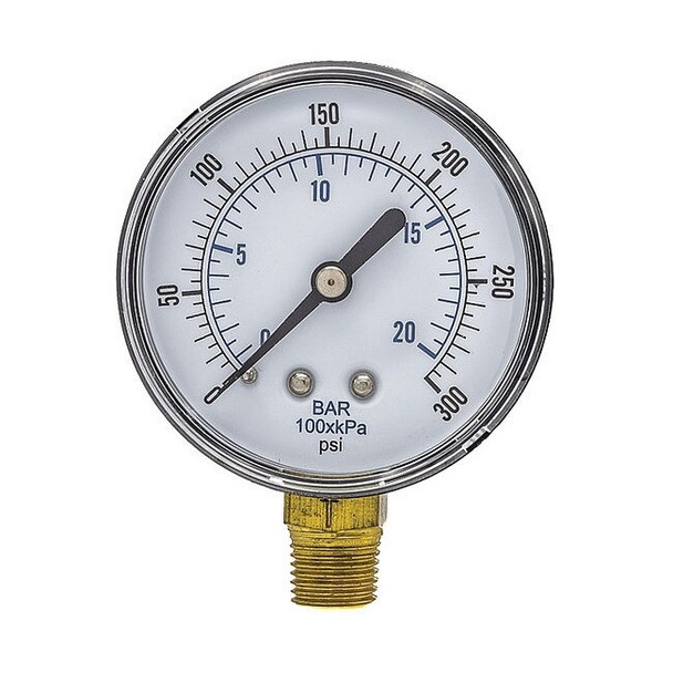 Pic Gauges SEP-101D-254H-BSPT