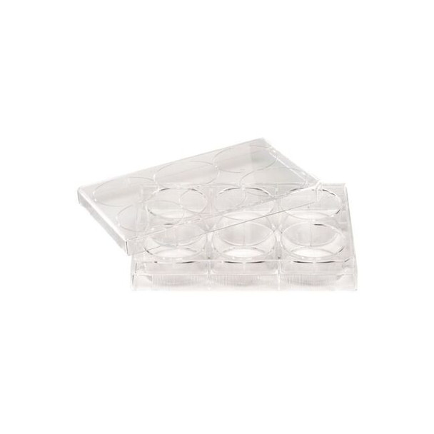 Celltreat Non-Treated Plate,12 Well,PK100 229512