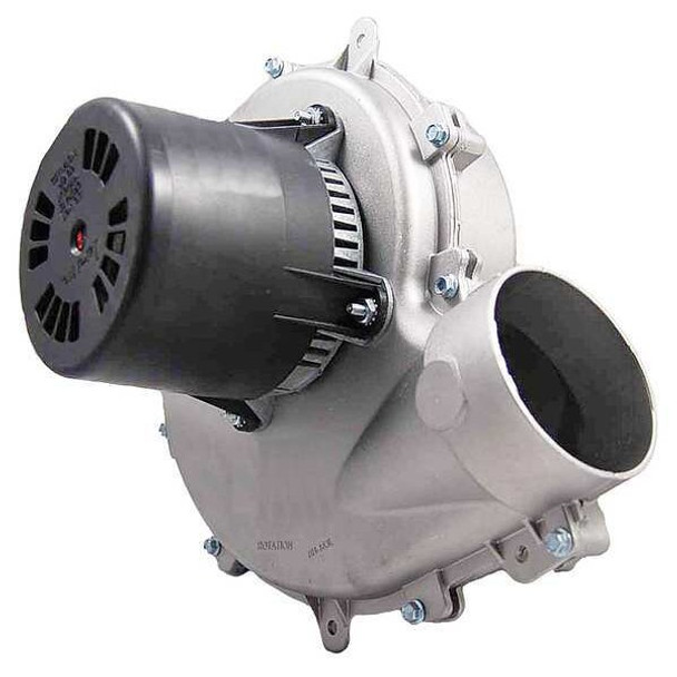 Packard Induced Draft Furnace Blower,230V 66254
