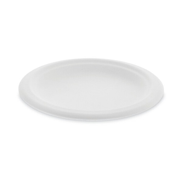 Pactiv Disposable Fiber Plate,6 in,White,PK1000 MC500060001 Pactiv Disposable Fiber Plate,6 in,White,PK1000 MC500060001